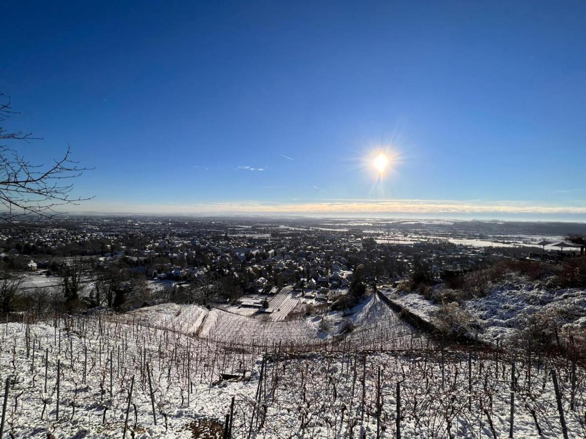 Alte Post Altwahnsdorf Appartement Radebeul Buitenkant foto